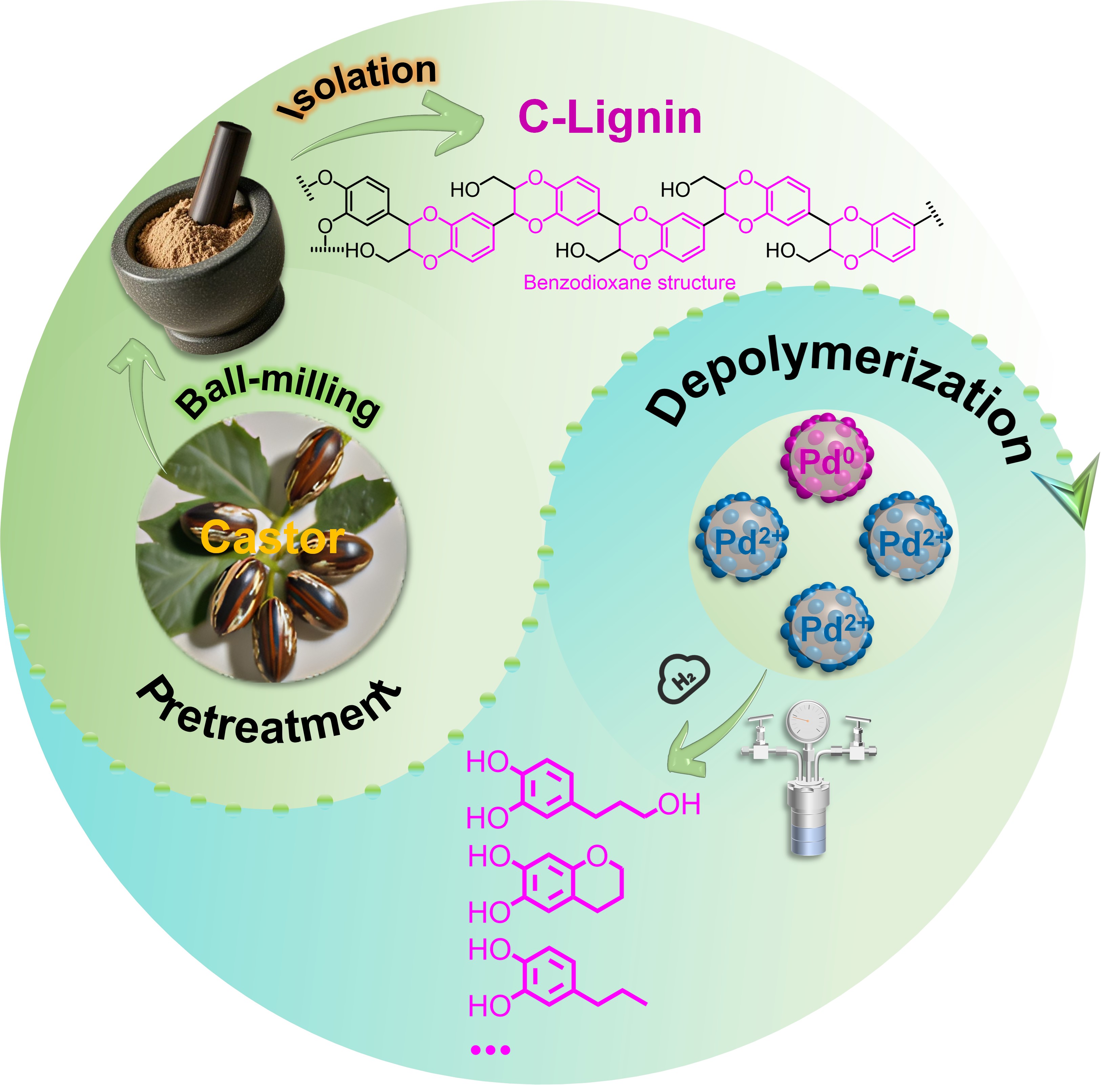 图片1_95392图片1